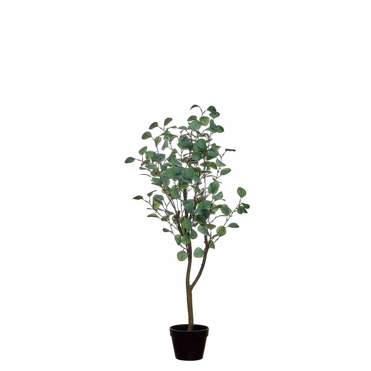 Planta artificial "Eucalyptus" 120cm, BORGHESI verde, BORGHESI
