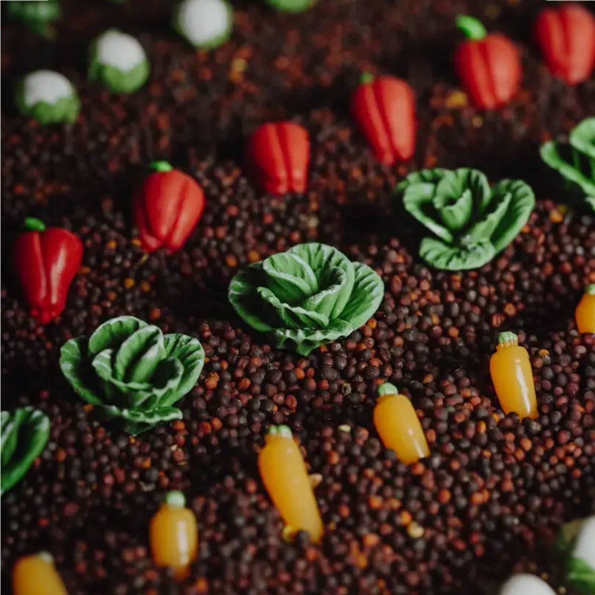 Bouteille sensorielle Légumes multicolore, PETIT BOUM
