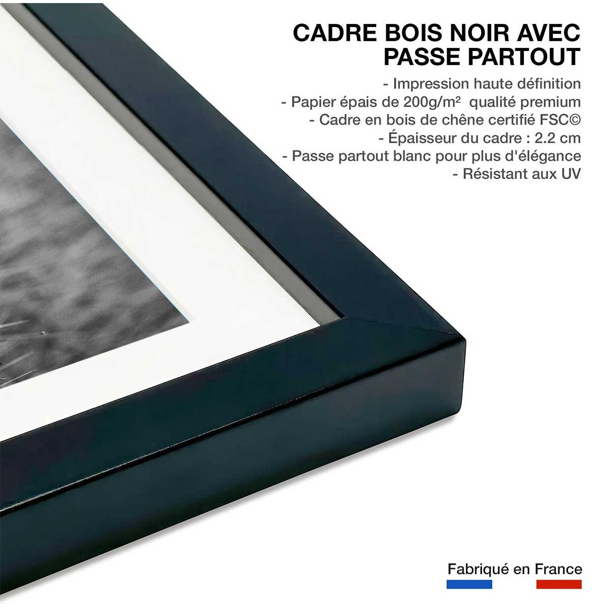 Affiche animaux Cheetah affiche + cadre en bois - noir, HEXOA