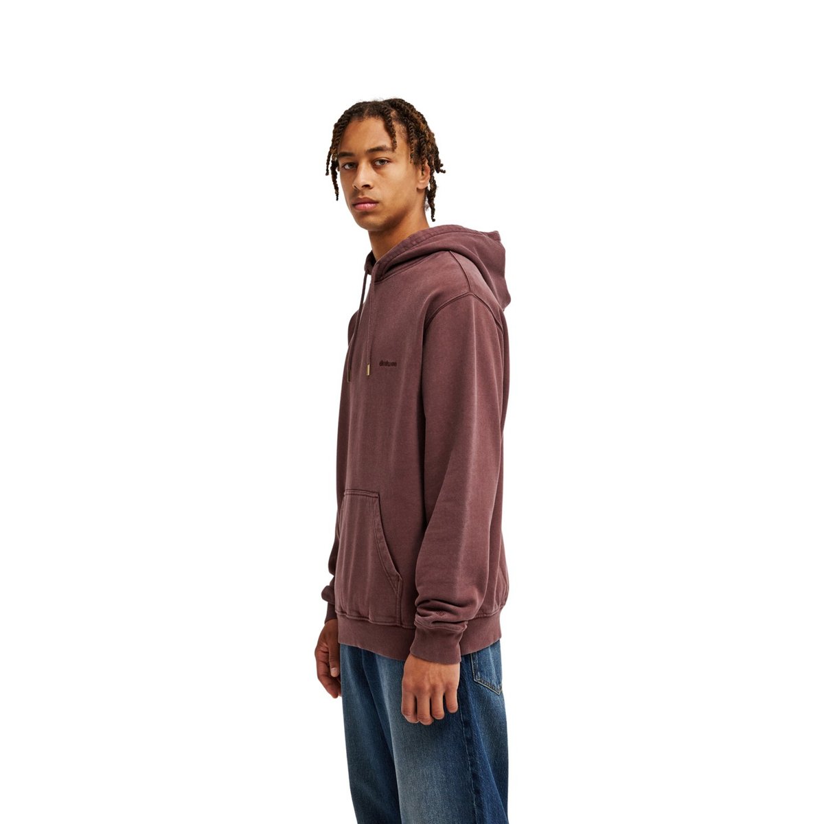 Sweat capuche. marron coffee bean, DC SHOES