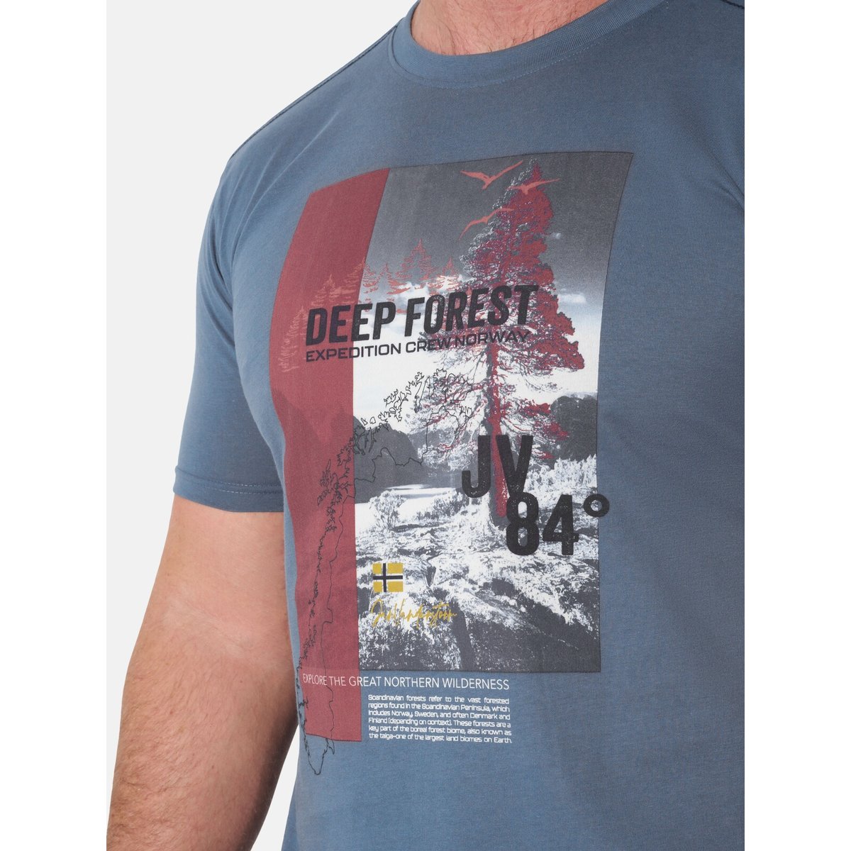 T-shirt MELFES bleu, JAN VANDERSTORM