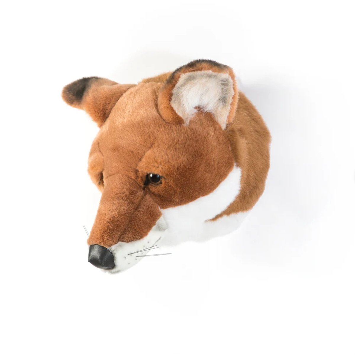 Trophée peluche Louis RENARD brun-rouille, WILD AND SOFT