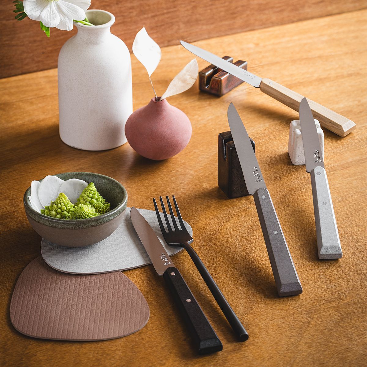 Set de couteaux Coffret Bon Appétit Minéral Steack 4pcs couleur unique, OPINEL