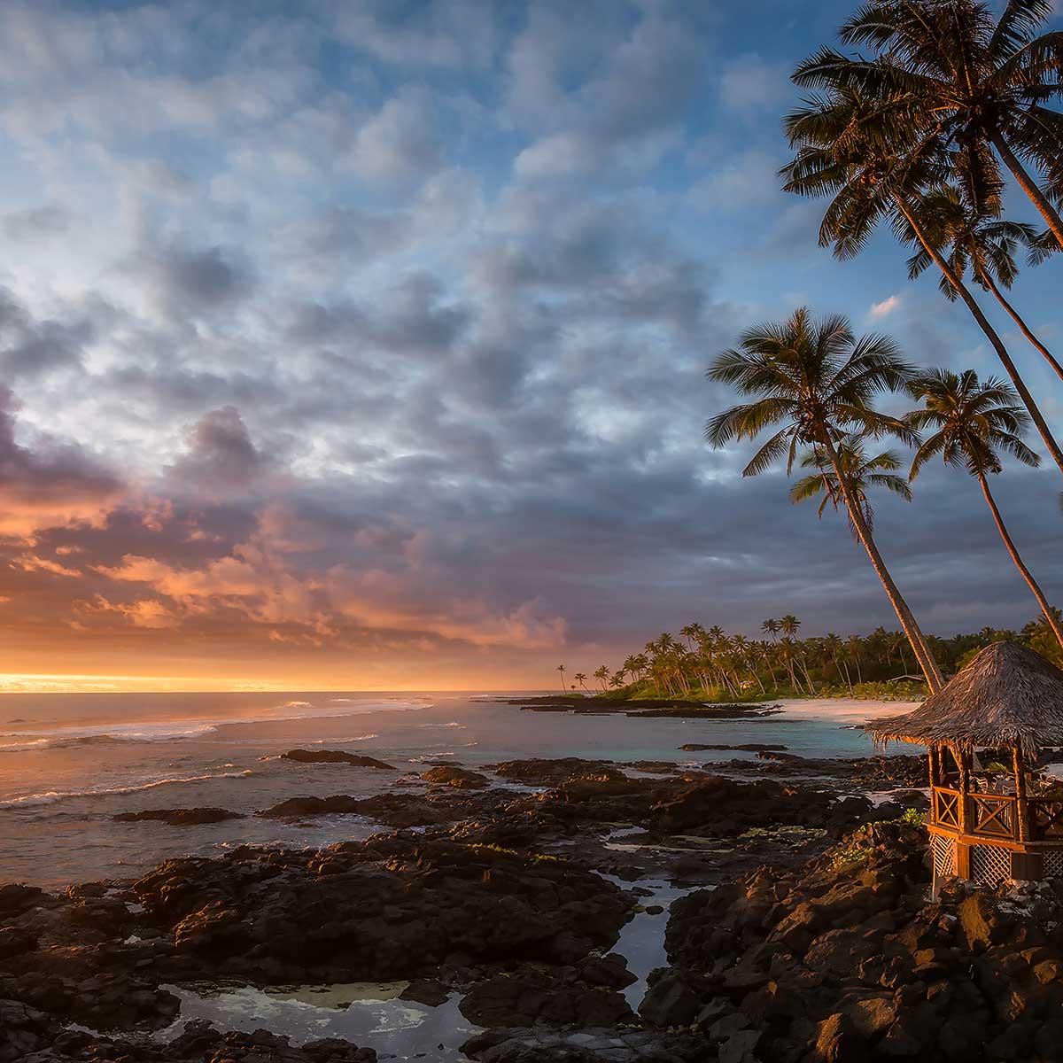 Affiche paysage paradis beach affiche + cadre en bois - noir, HEXOA