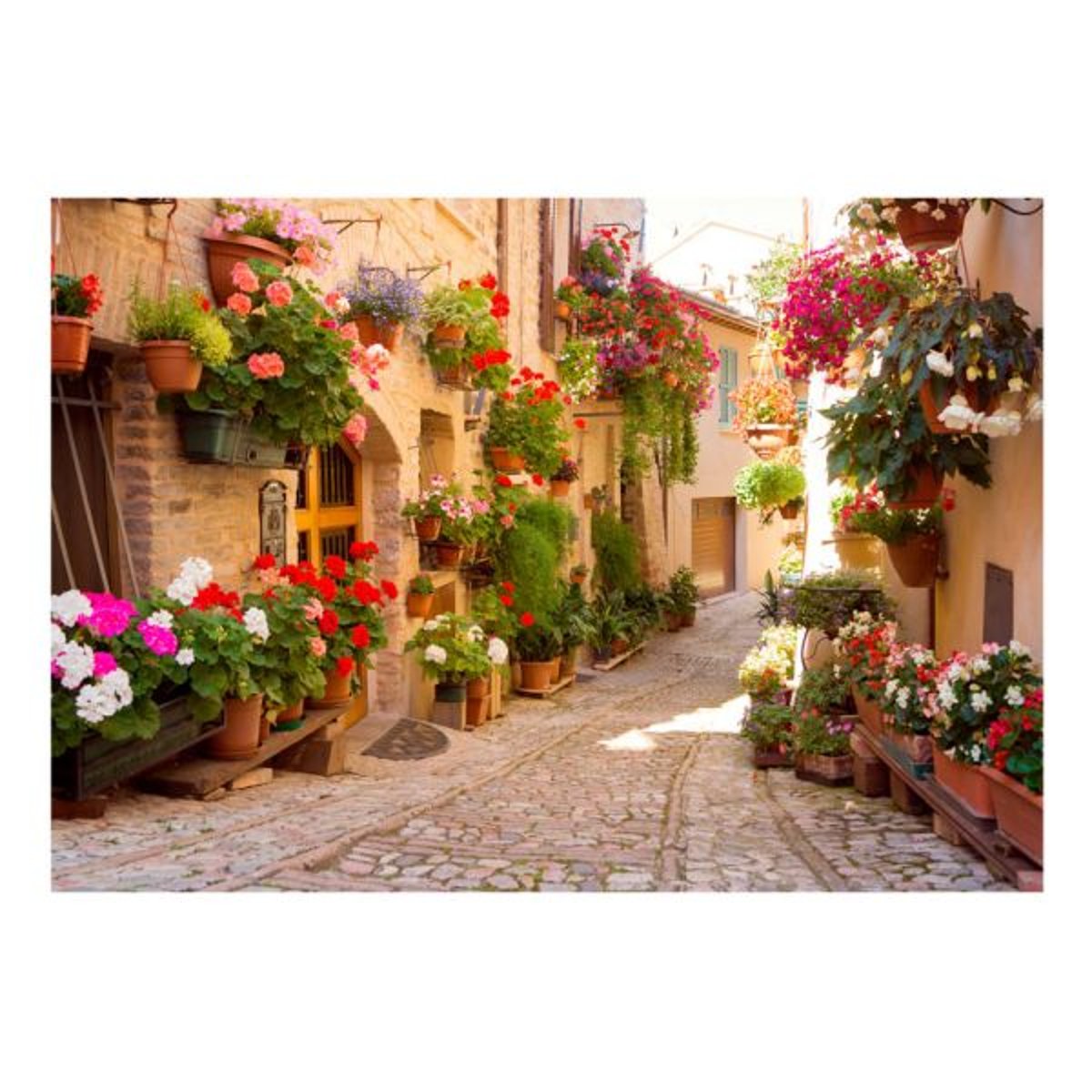 Papier peint intissé panoramique Ville et Architecture The Alley in Spello (Italy) multicouleur, EDEN