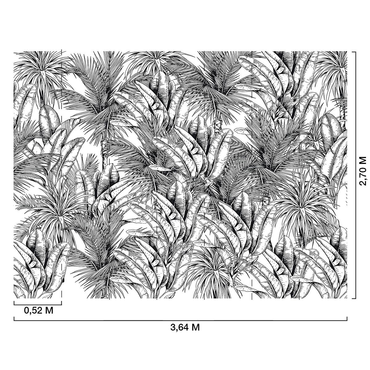 Papier peint panoramique feuilles de bananiers n&b intissé, HEXOA