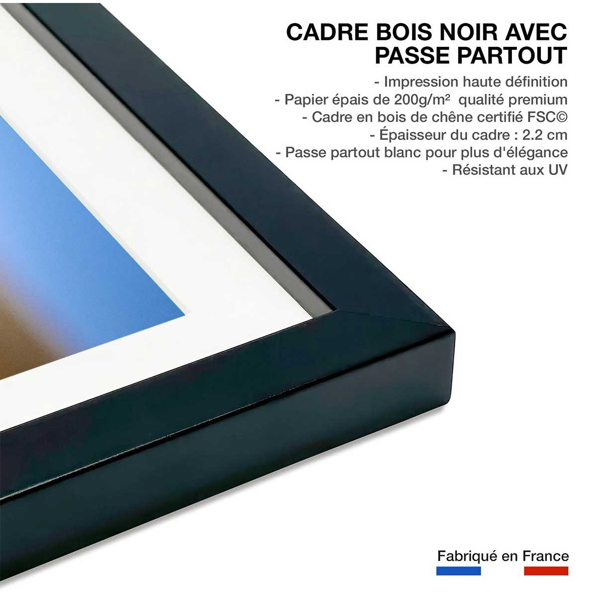 Affiche animaux brothers for the life affiche + cadre en bois - noir, HEXOA