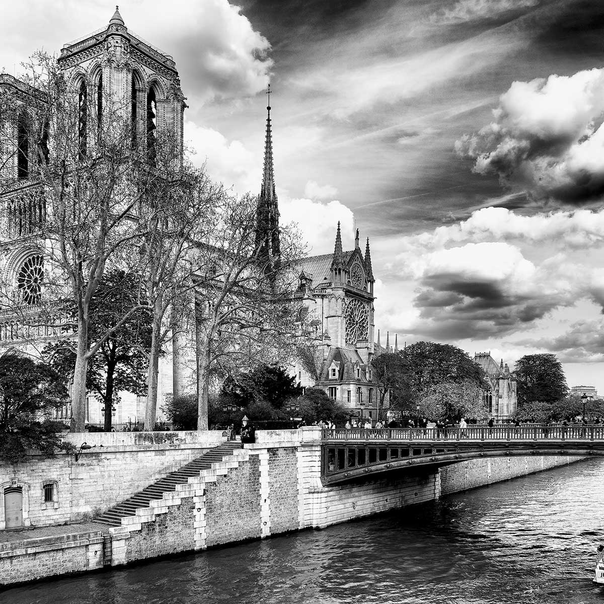 Tableau notre dame de paris tableau alu dibond, HEXOA