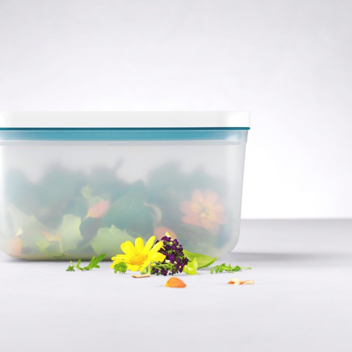ZWILLING FRESH & SAVE Boîte sous vide S, plastique, semi-transparent La Mer couleur unique, ZWILLING