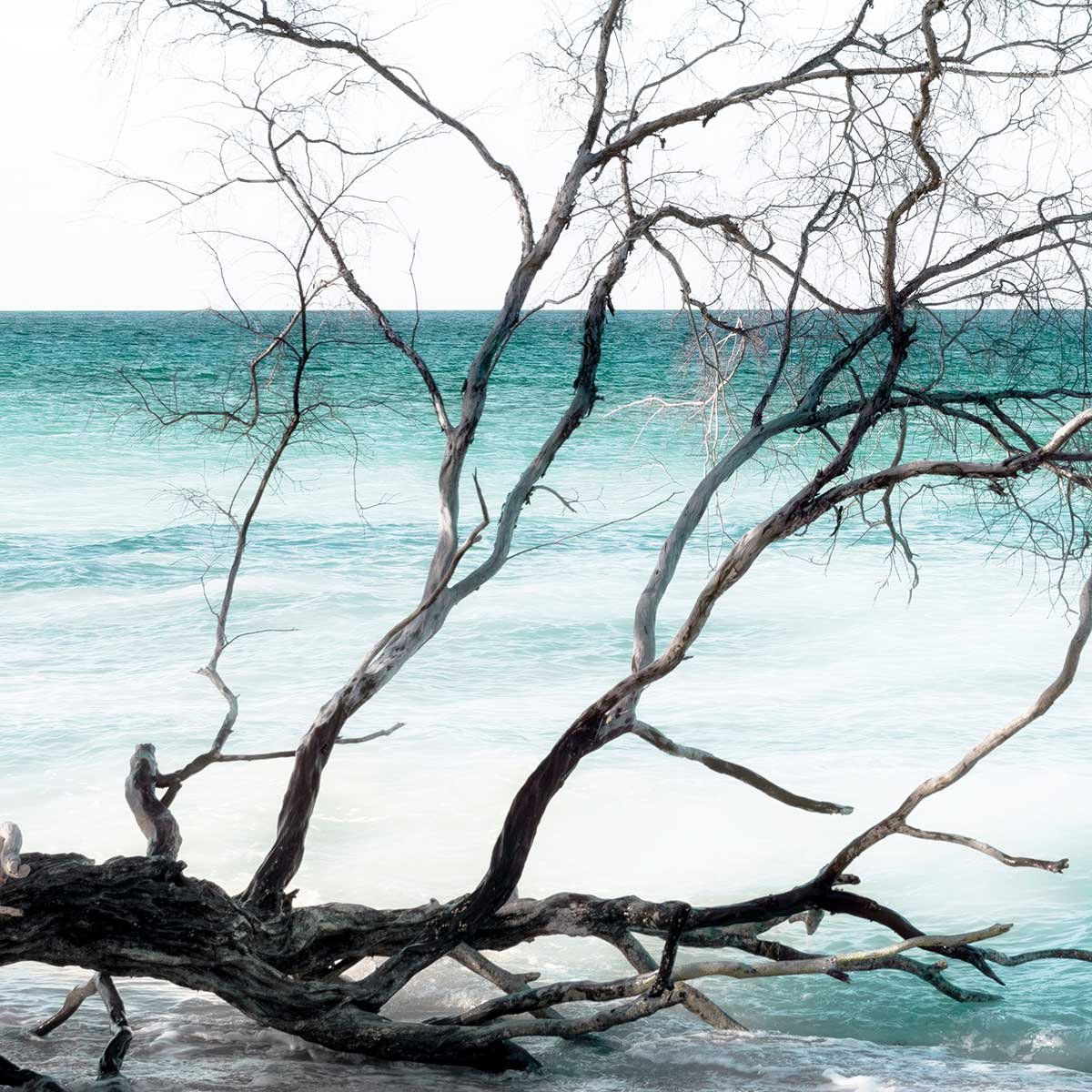 Papier peint panoramique mer bleue turquoise intissé, HEXOA