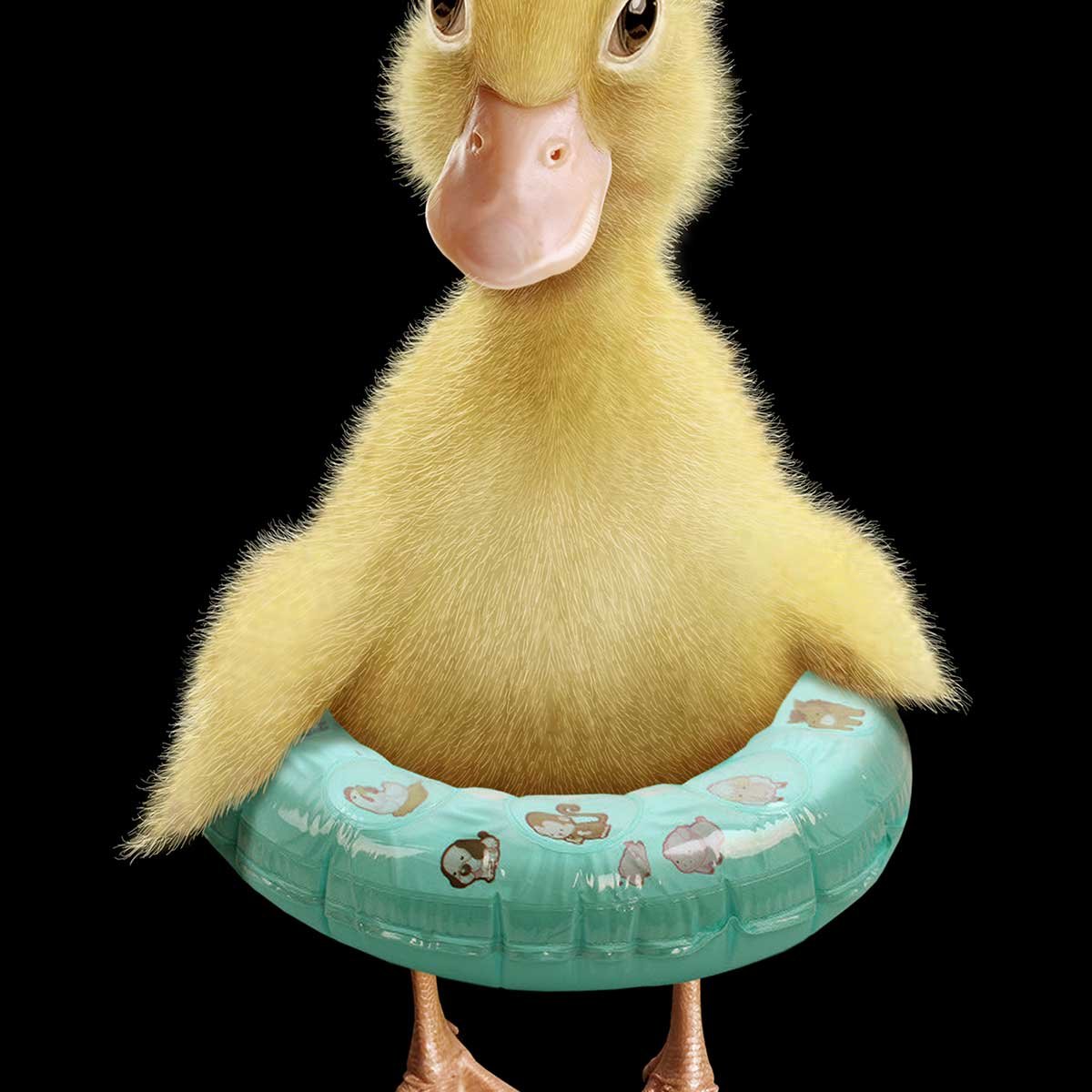 Affiche enfant bouée canard affiche seule, HEXOA