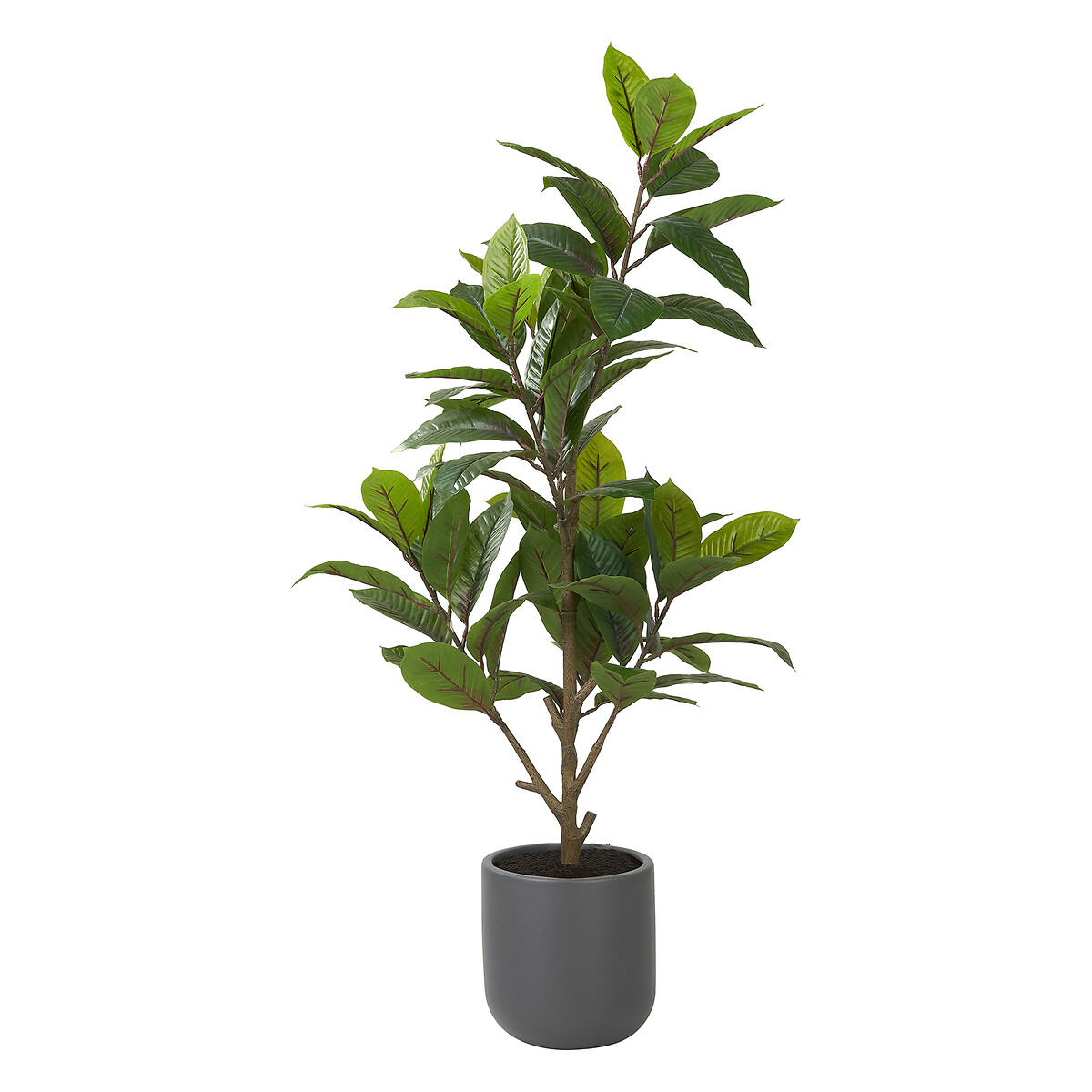 130cm Magnolia Tree in Pot green/grey, ÉDITÉ