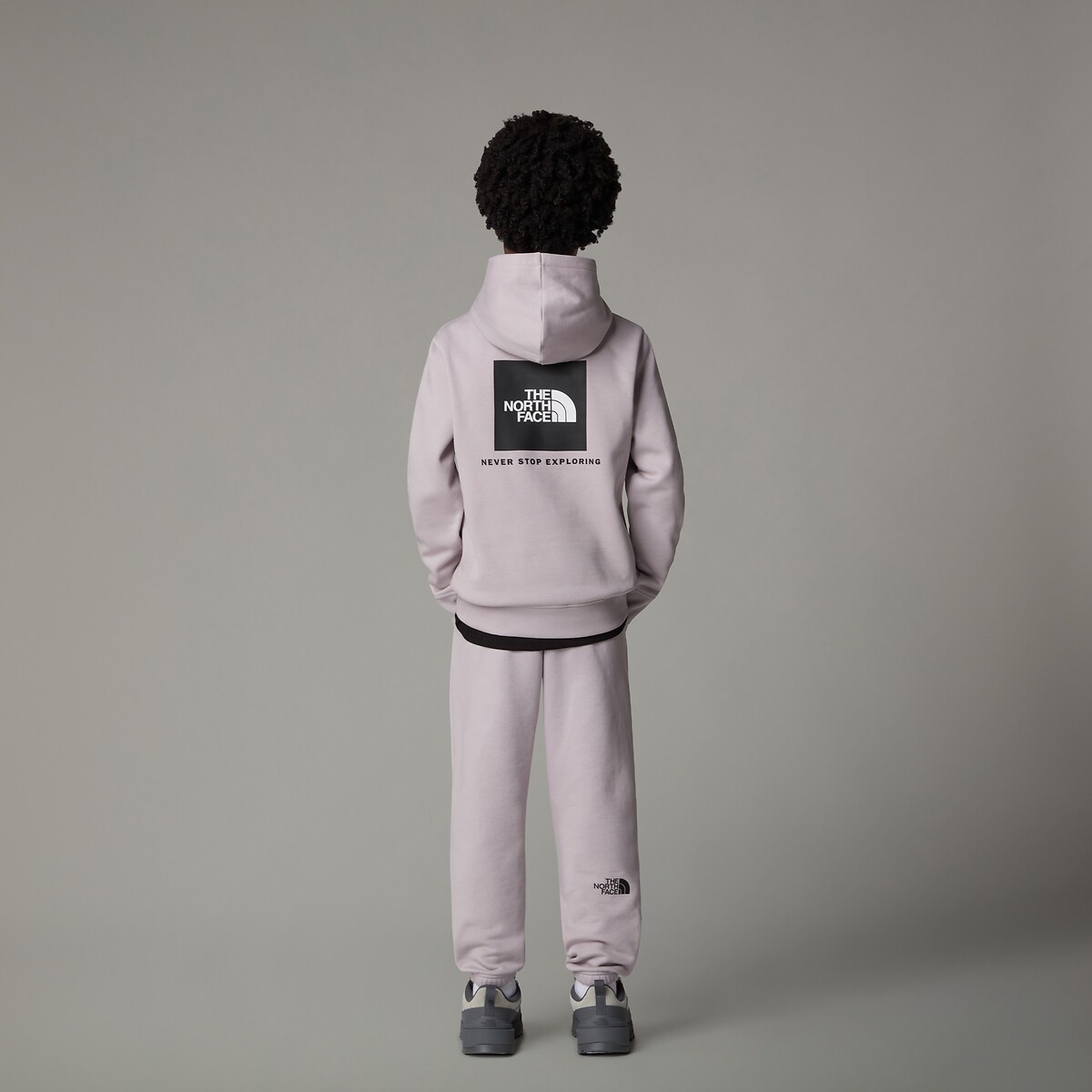 Hoodie, fleece, logo voor en achter lichtgrijs, THE NORTH FACE