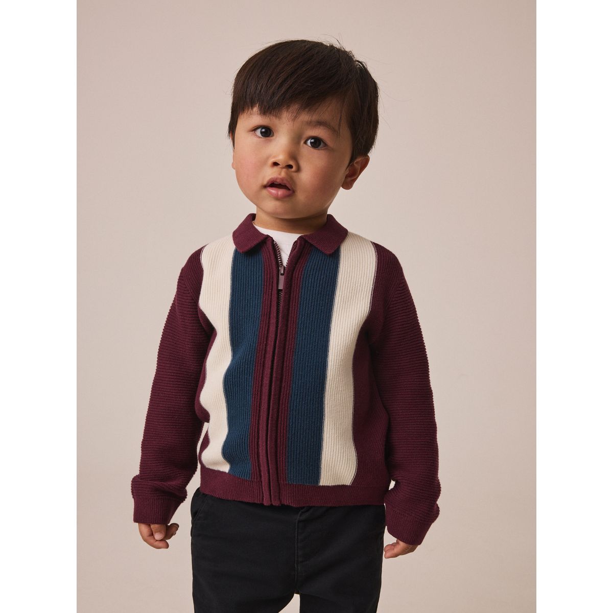 Polo zippé en maille à rayures violet/bleu marine, NEXT