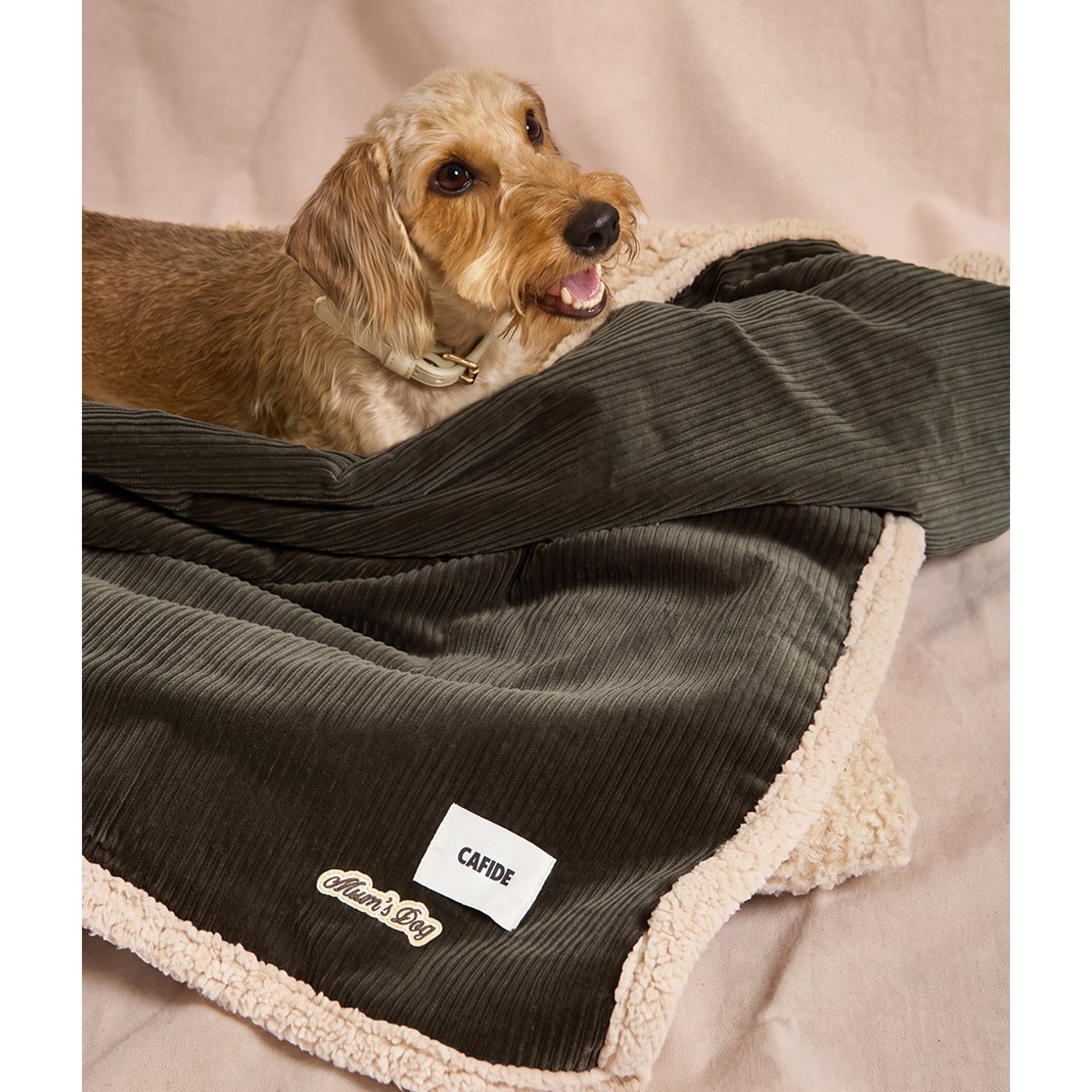 Couverture pour chien en velours côtelé vert, Toia vert, CAFIDE
