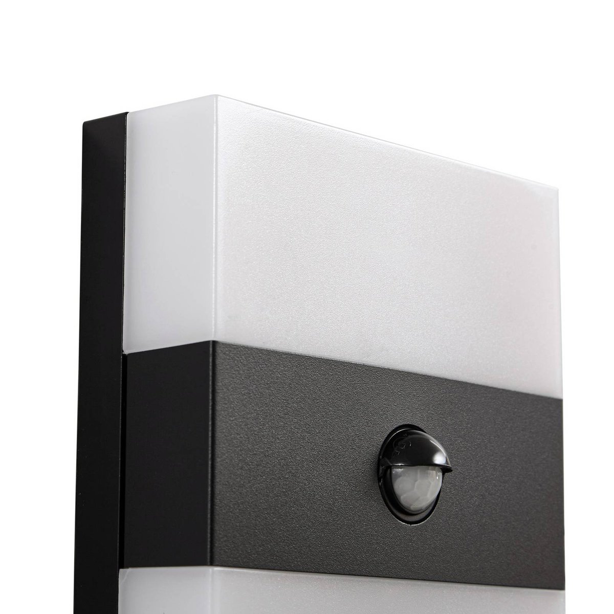 Applique extérieure en inox moderneLED anthracite, blanc, PRIOS