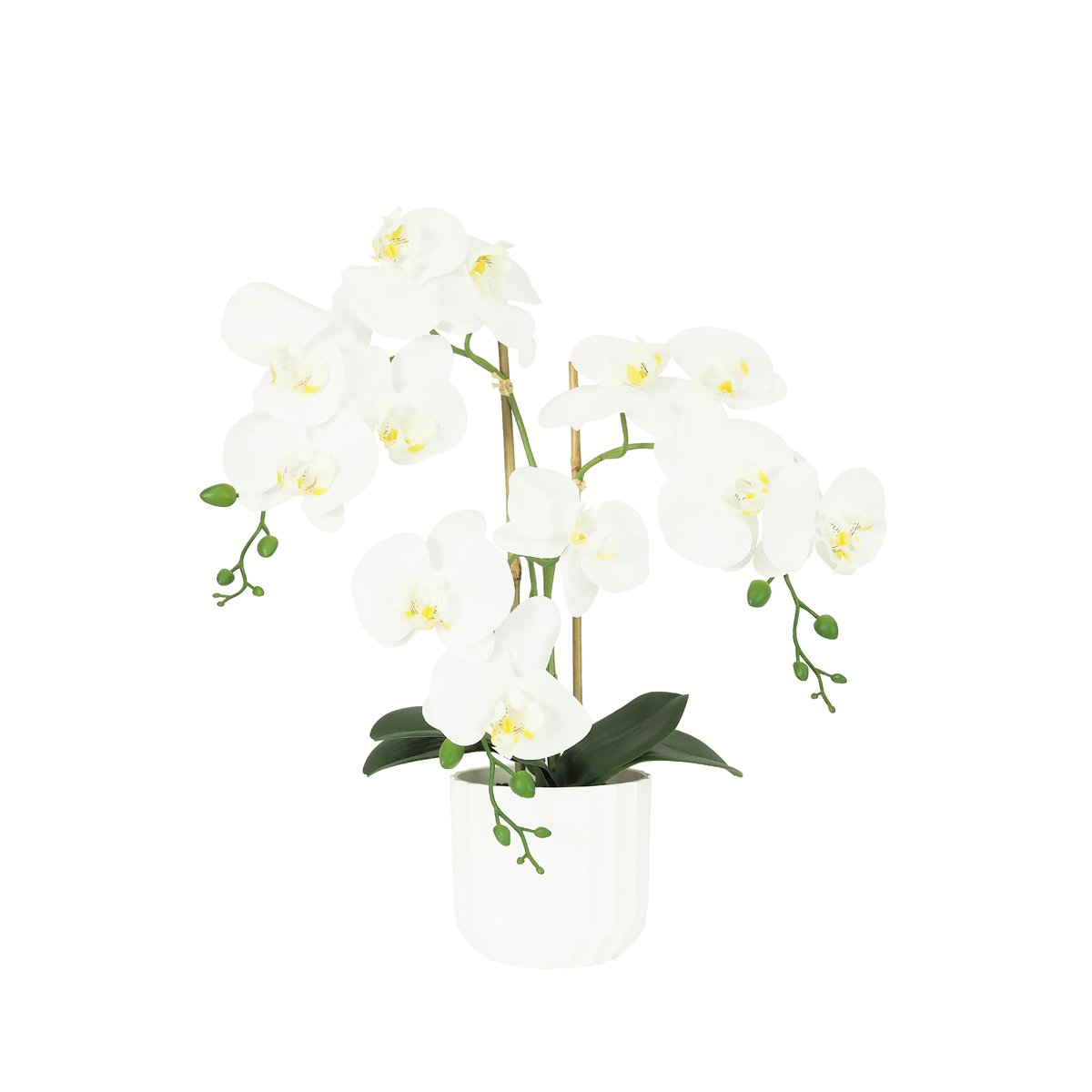 Orchidée artificielle toucher naturel blanc 52cm blanc, LIGNE DECO