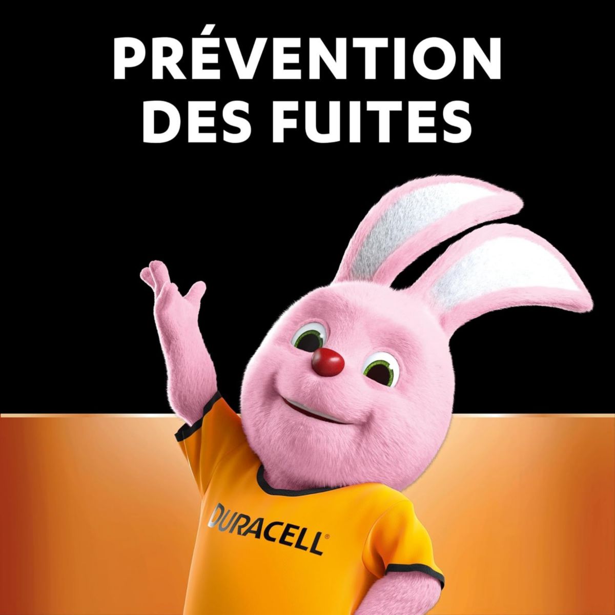 Pile MN21 2 piles A23 couleur unique, DURACELL