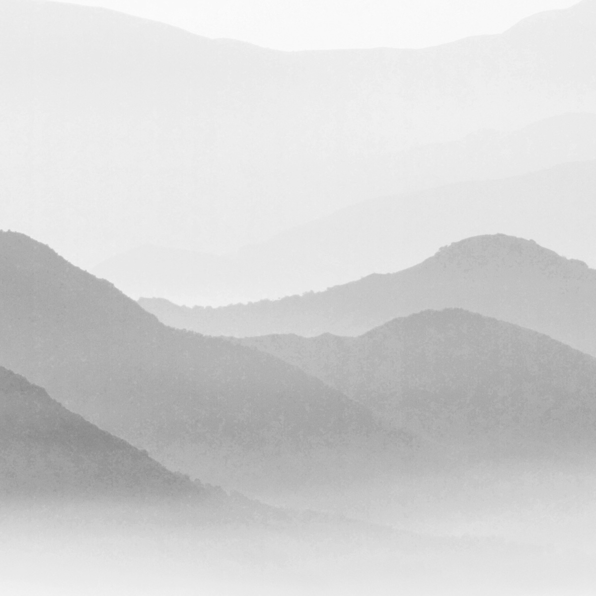 Papier peint panoramique Misty Mountains, Rose 340 x 250cm gris, ACTE DECO