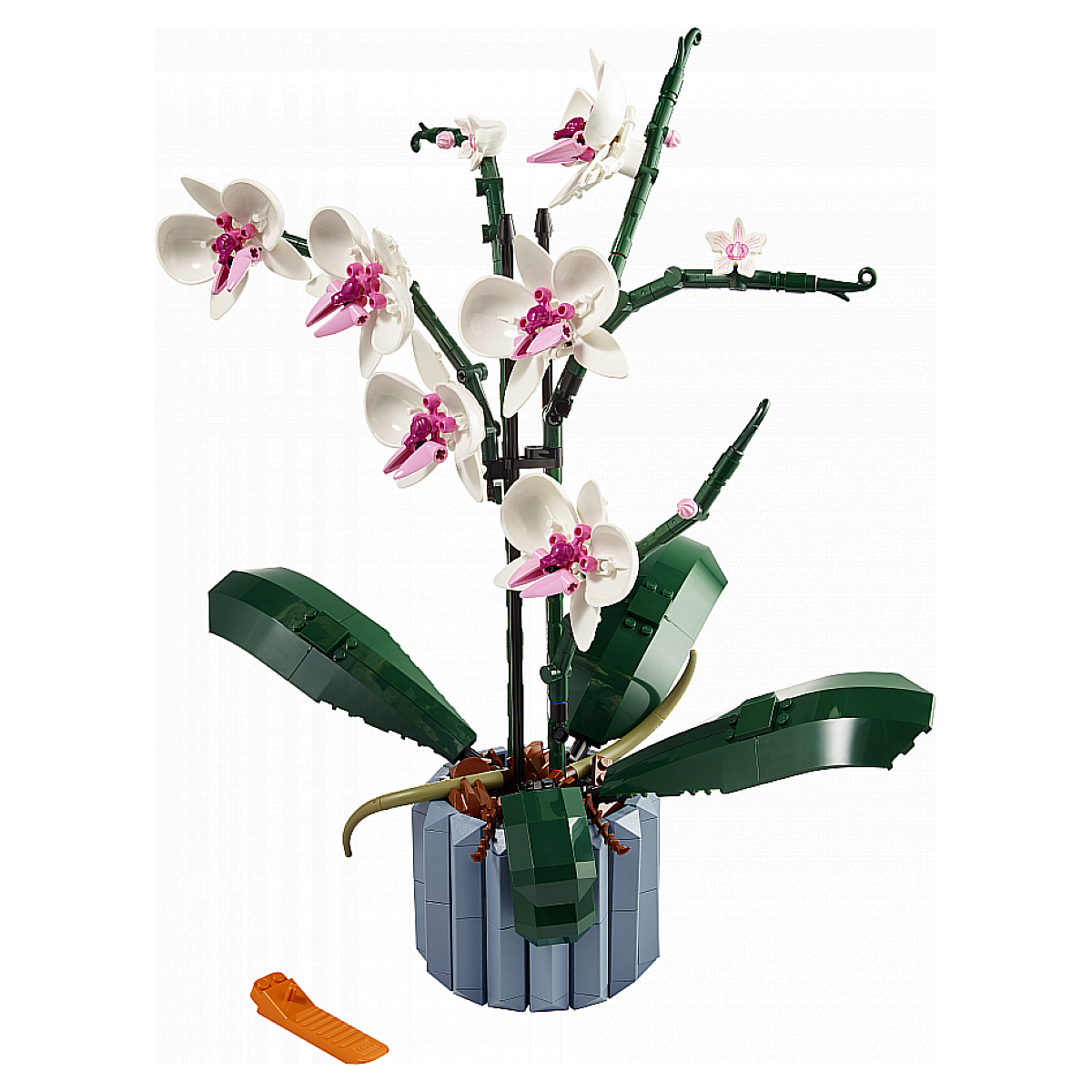 LEGO Botanicals - LEGO Creator - L'orchidée - 10311 blanc, rose, bleu, marron, LEGO