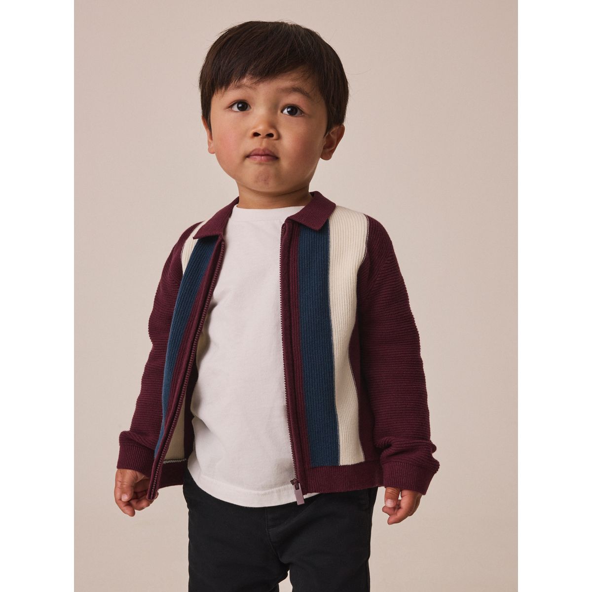 Polo zippé en maille à rayures violet/bleu marine, NEXT