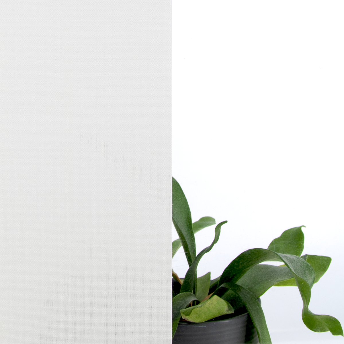 Film tissé adhésif pour vitre blanc, ART FOR THE HOME