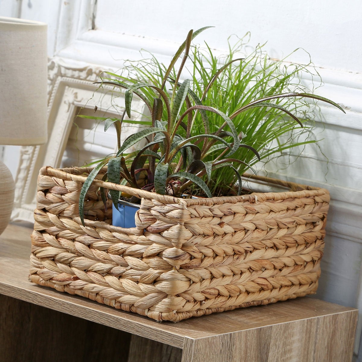 Panier en jacinthe d'eau armature métal - hauteur 13 cm beige, CALICOSY
