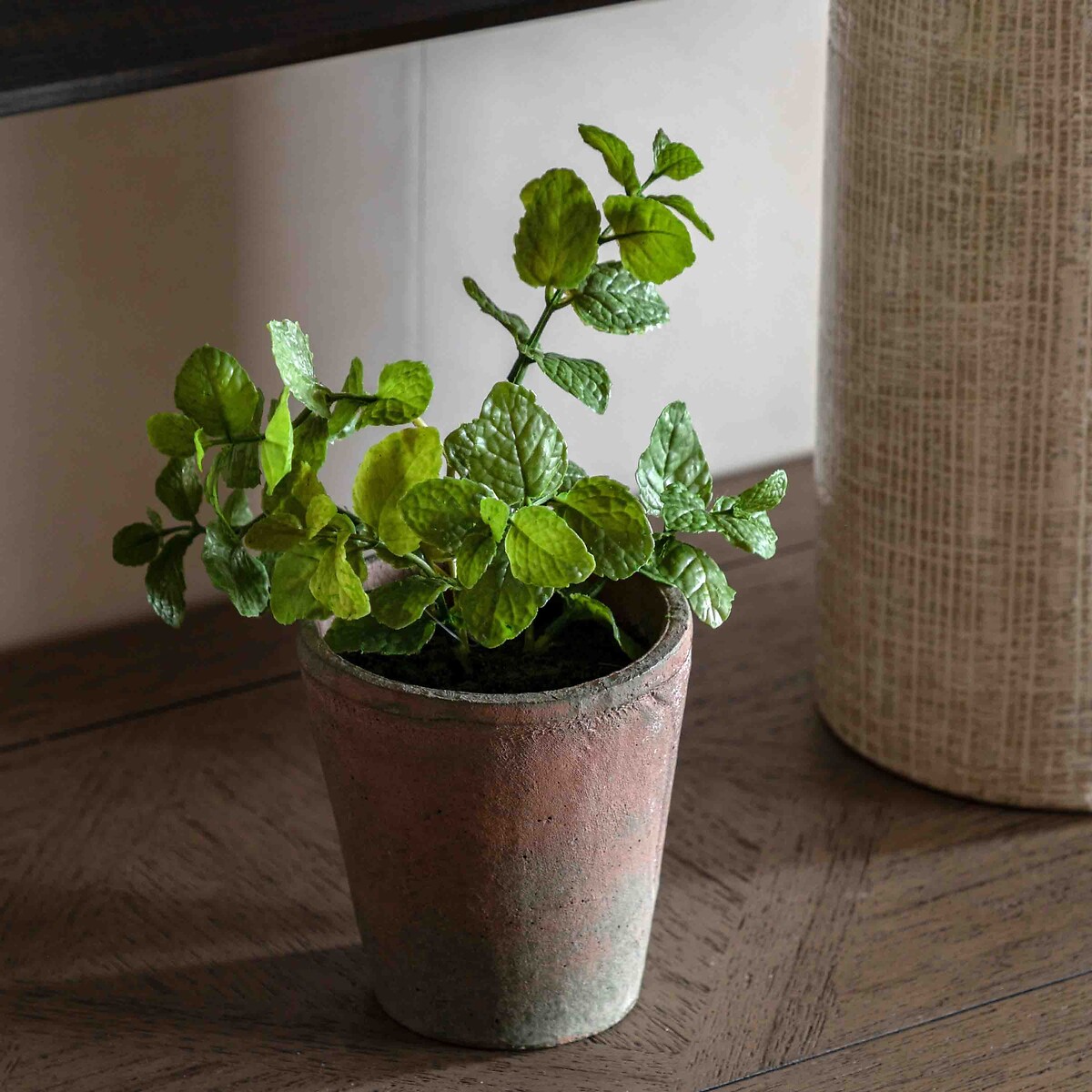 23cm Potted Mint in Terracotta Pot red, ÉDITÉ