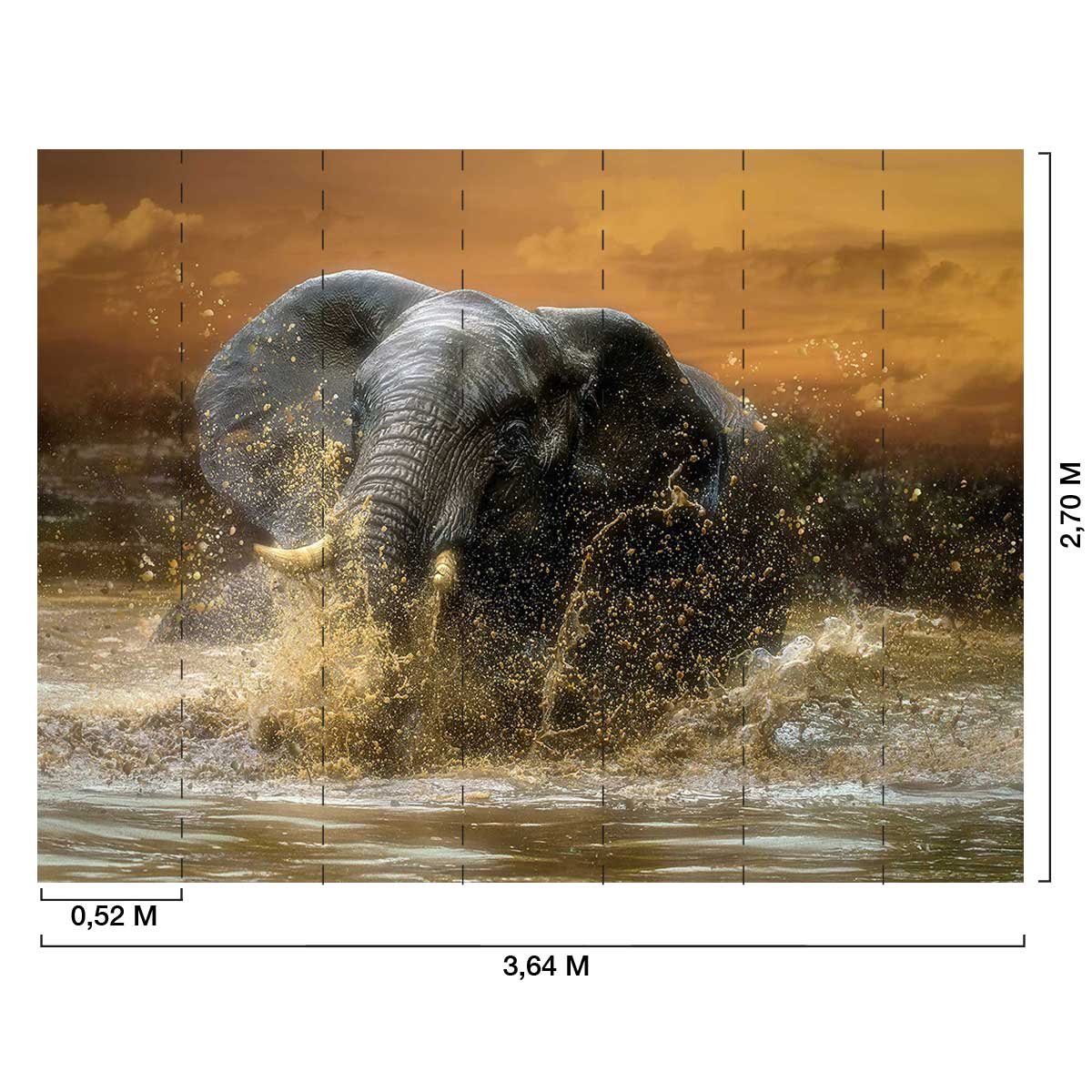 Papier peint bain puissant intissé, HEXOA