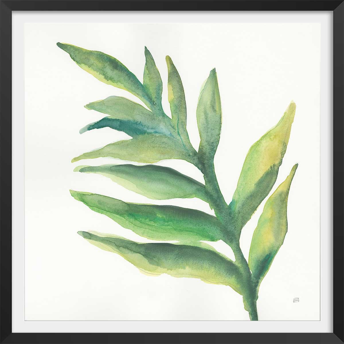 Affiche Plante aloe watercolor affiche + cadre en bois - noir, HEXOA