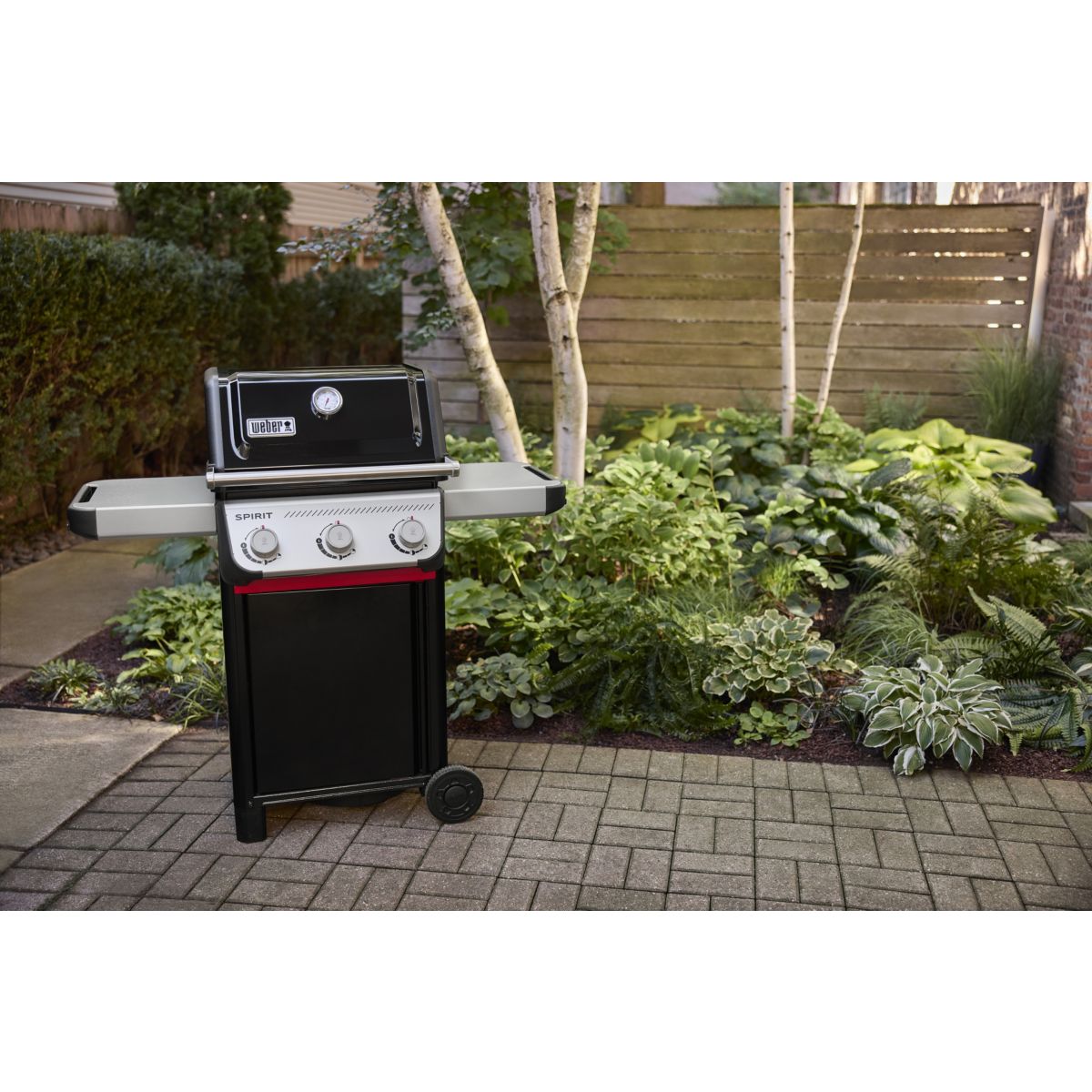 Barbecue gaz Spirit E-310 black 3 brûleurs sur chariot 52x45 cm couleur unique, WEBER