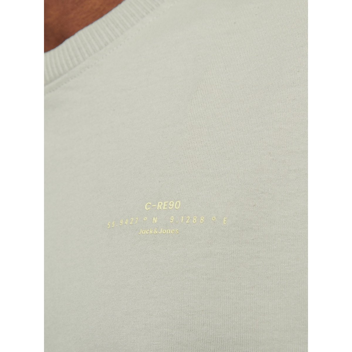 T-Shirt T-shirt Imprimé desert sage, JACK & JONES