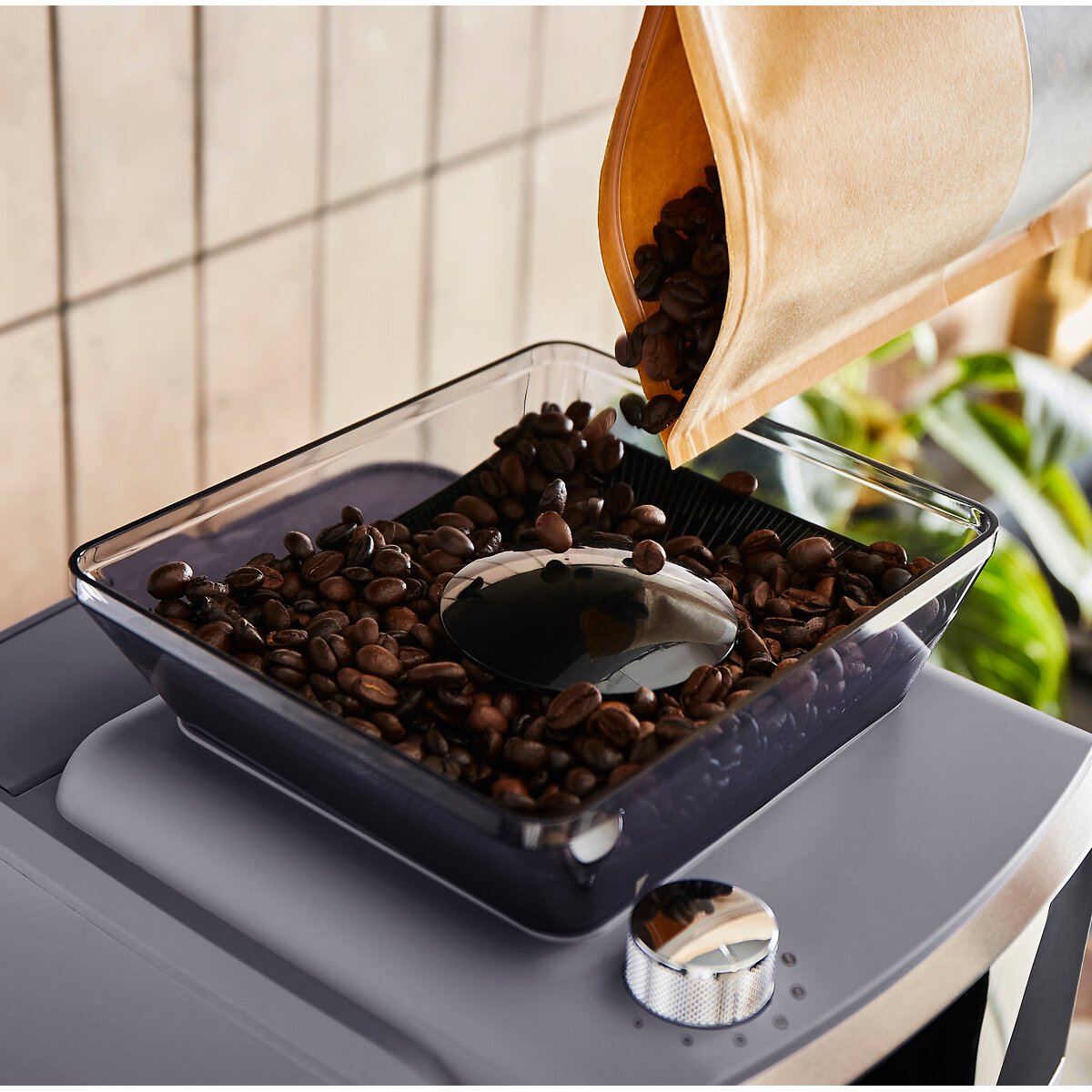 Zino Grind & Brew Automatic Filter Coffee Machine raw linen, MORPHY RICHARDS