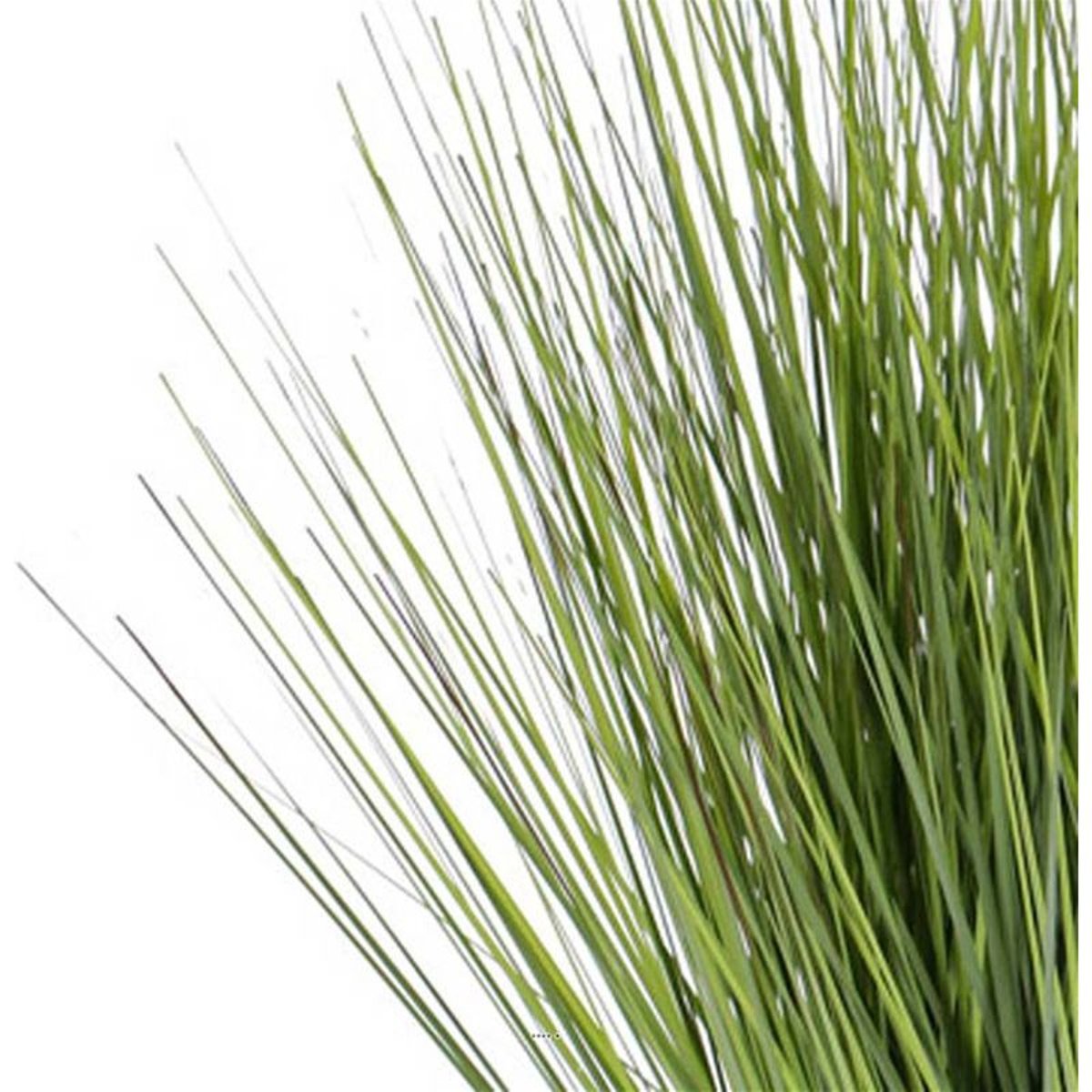 Isolepsis Herbes Graminees artificielles Vert v002239, ARTIFICIELLES