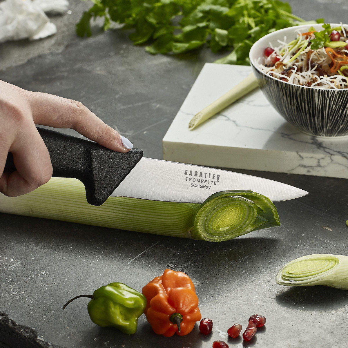 Couteau de chef 25cm - noir, SABATIER TROMPETTE