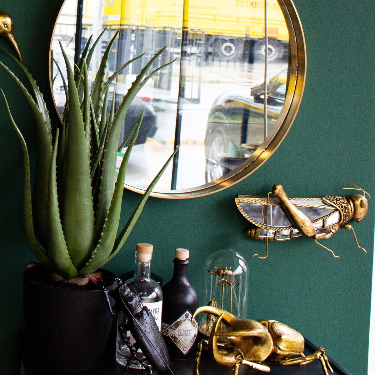 Plante décorative Aloe vert, KARE DESIGN
