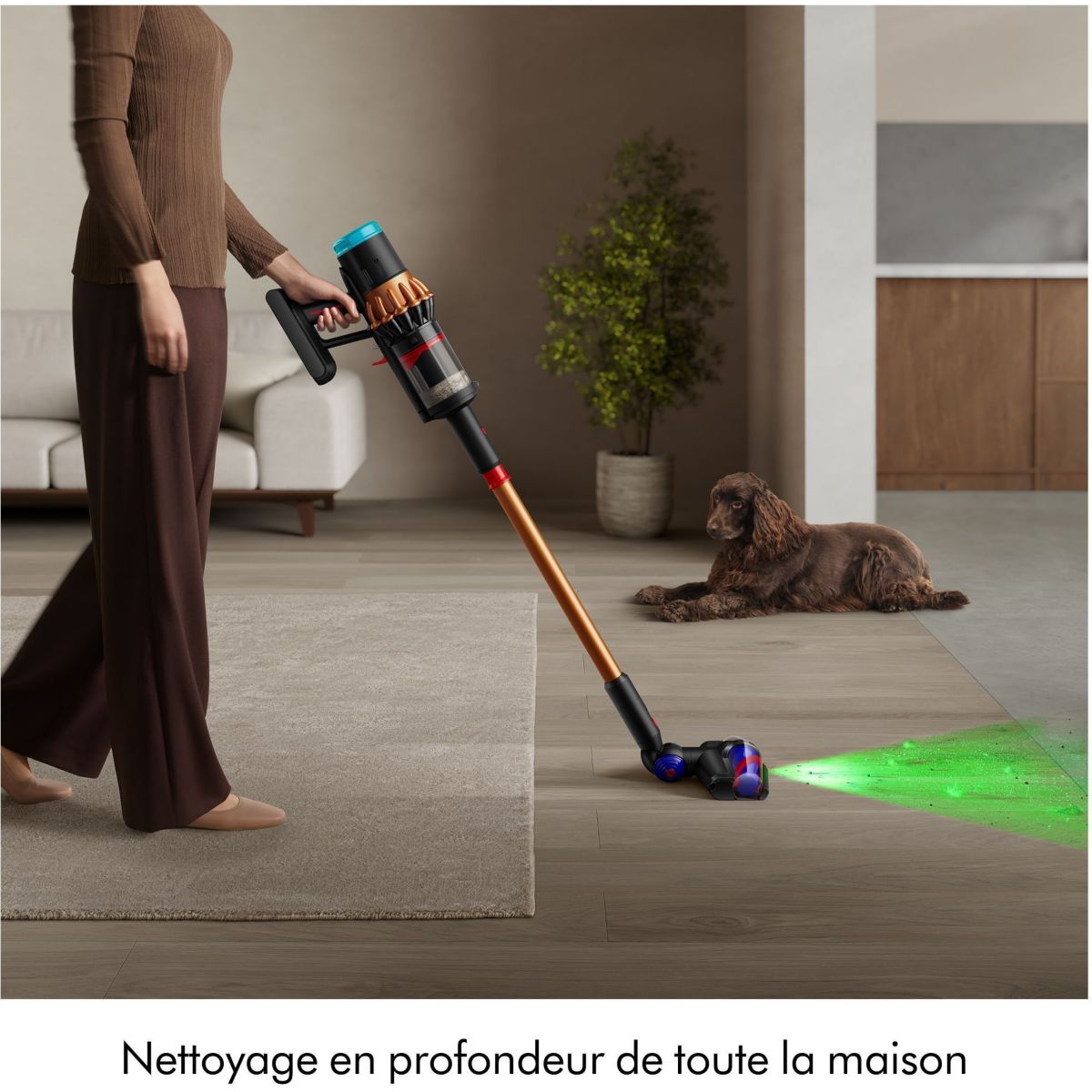 Aspirateur balai V16 Piston Animal couleur unique, DYSON