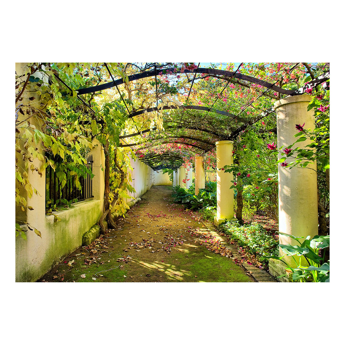 Papier peint intissé panoramique 3D et Perspective Pergola vert, EDEN