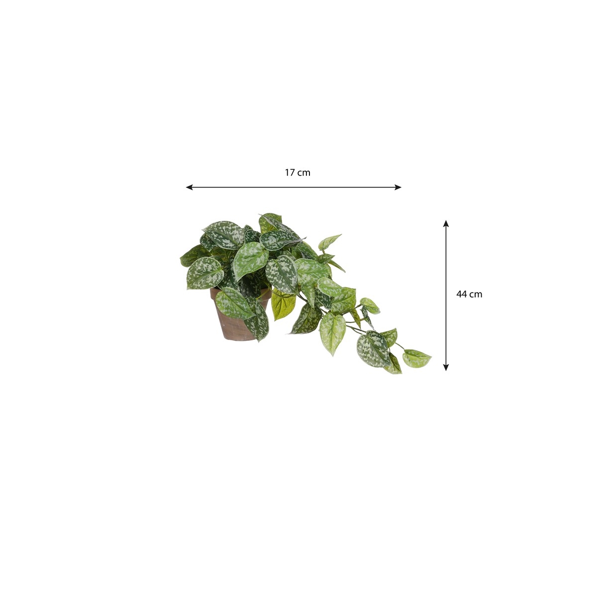 Plante artificielle SCINDAPSUS vert, MICA DECORATIONS