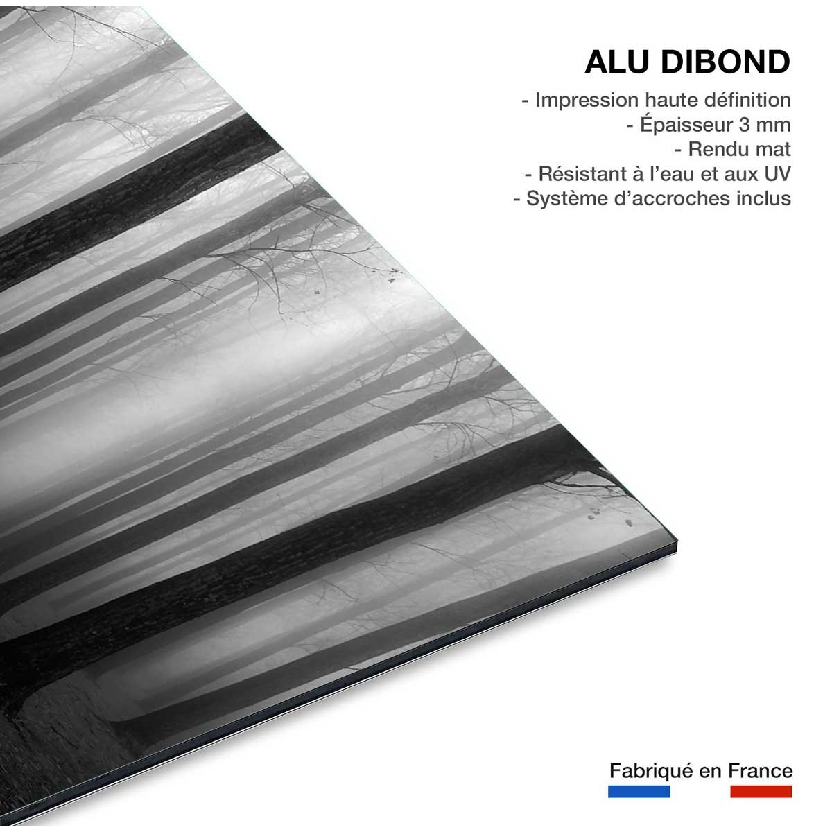 Tableau nature foggy weather tableau alu dibond, HEXOA