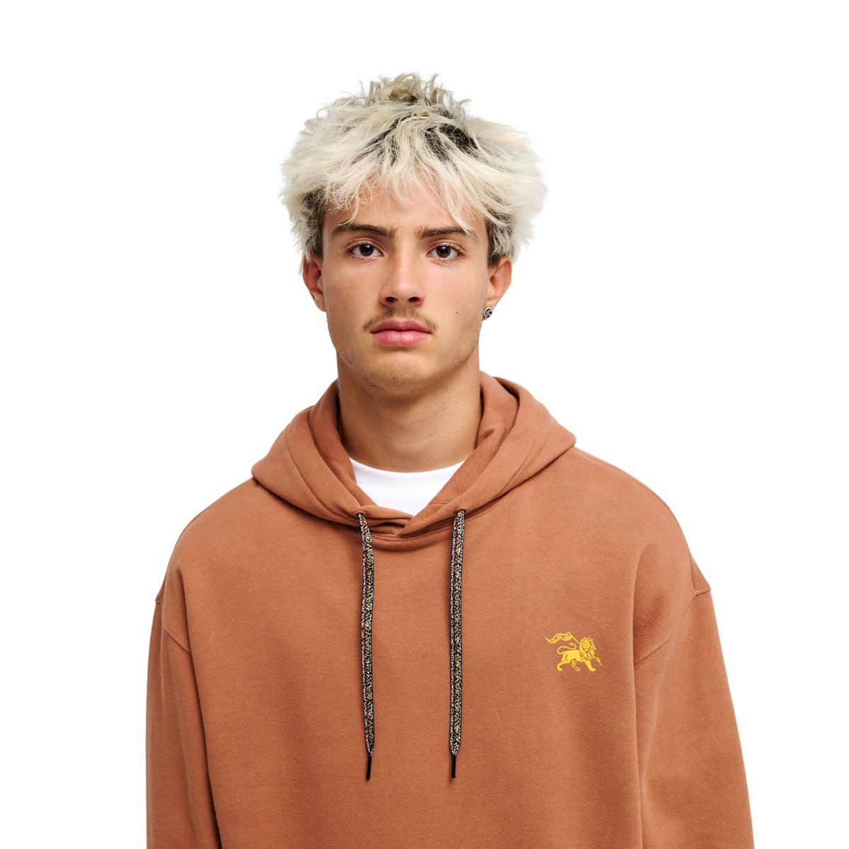 Sweat capuche BOB MARLEY ZION marron rawhide, QUIKSILVER