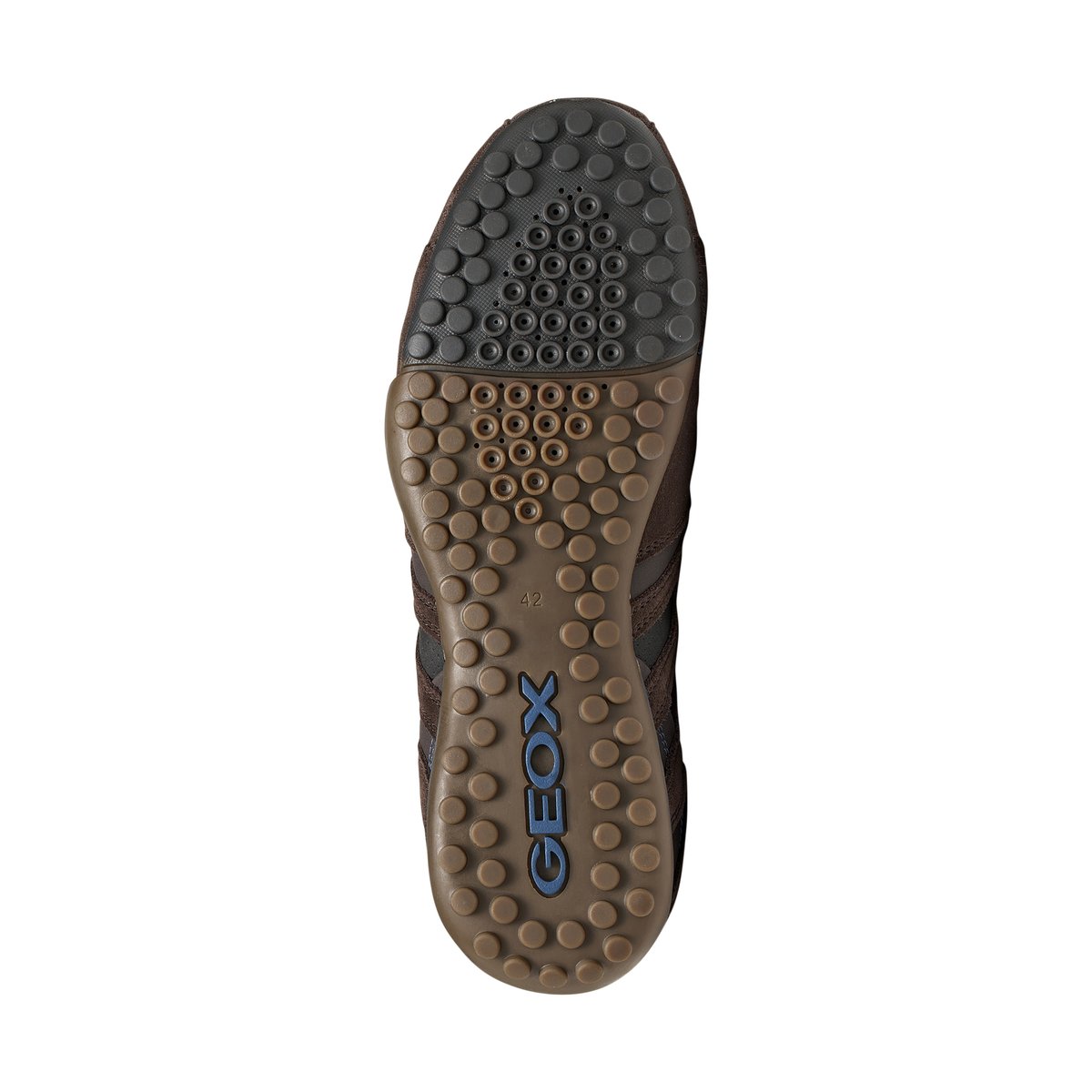 Basket Cuir U Snake L Scam chocolat/noir, GEOX