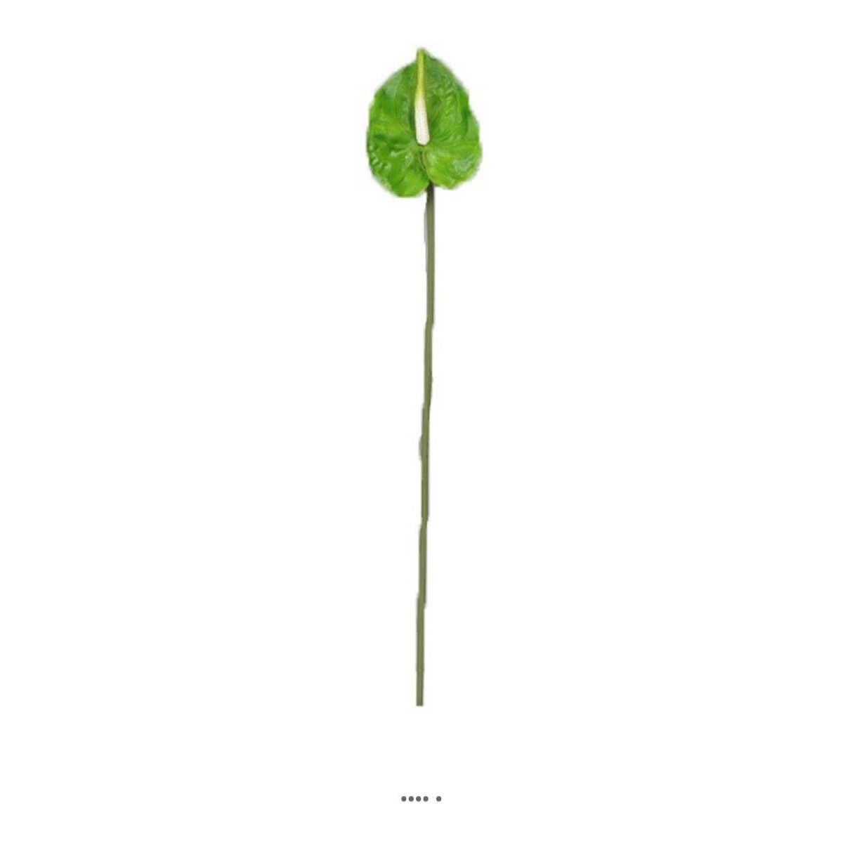 Tige Anthurium artificiel L 66 cm Vert vert, ARTIFICIELLES