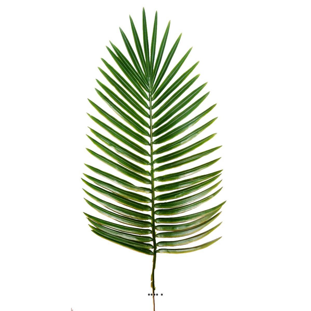 Feuille de palmier Phoenix x6 H63cm Pl autres, ARTIFICIELLES