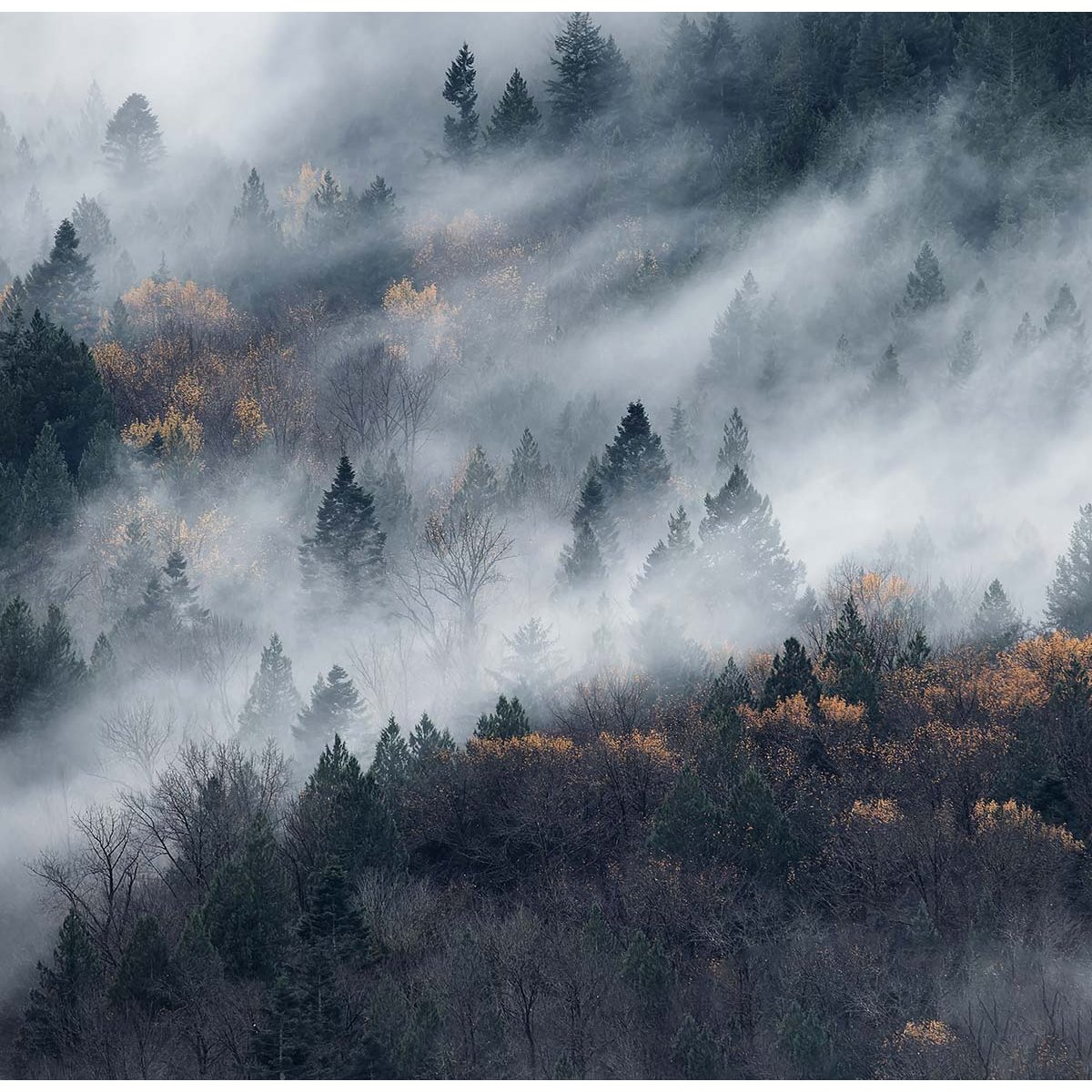 Papier peint un chemin du brouillard intissé, HEXOA