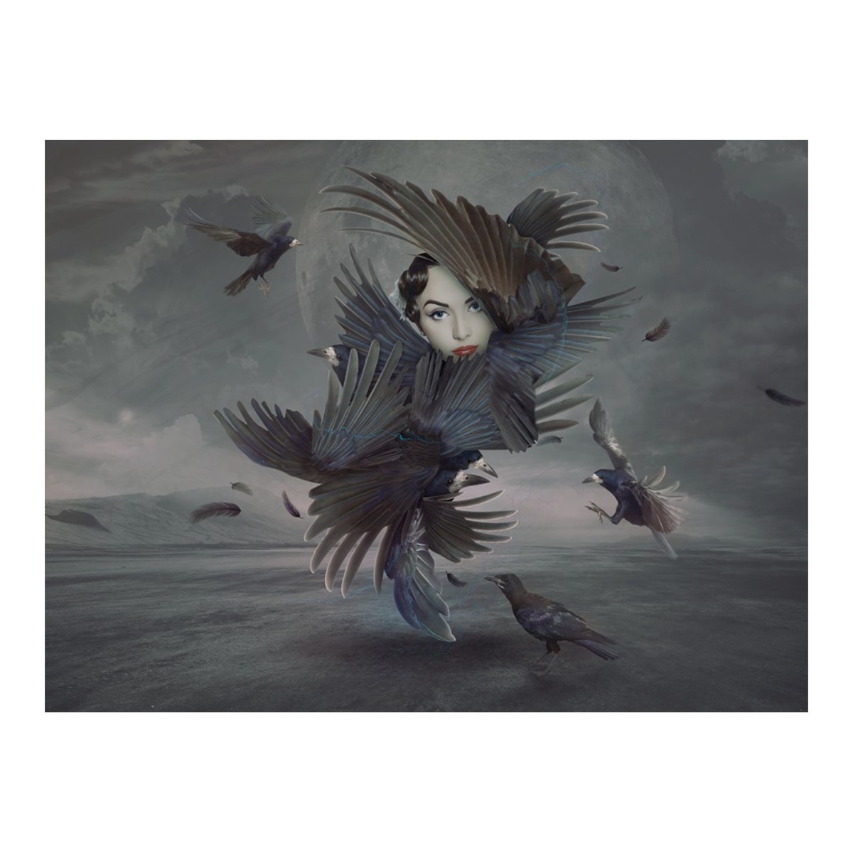 Papier peint intissé panoramique Personnes Couverte de plumes gris / argent, EDEN
