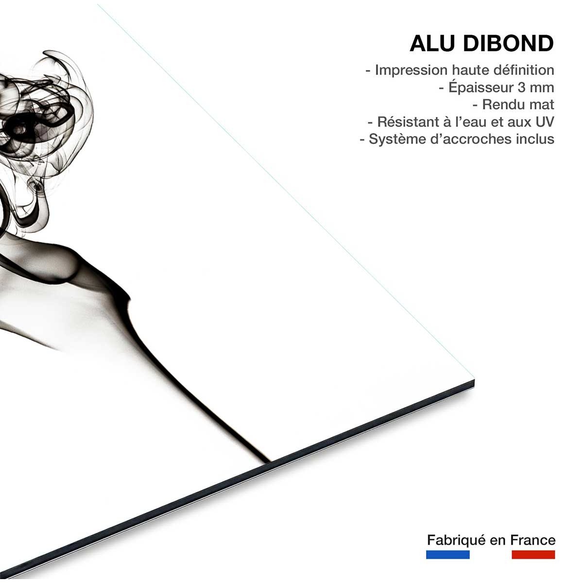 Tableau black smoke the dancer tableau alu dibond, HEXOA