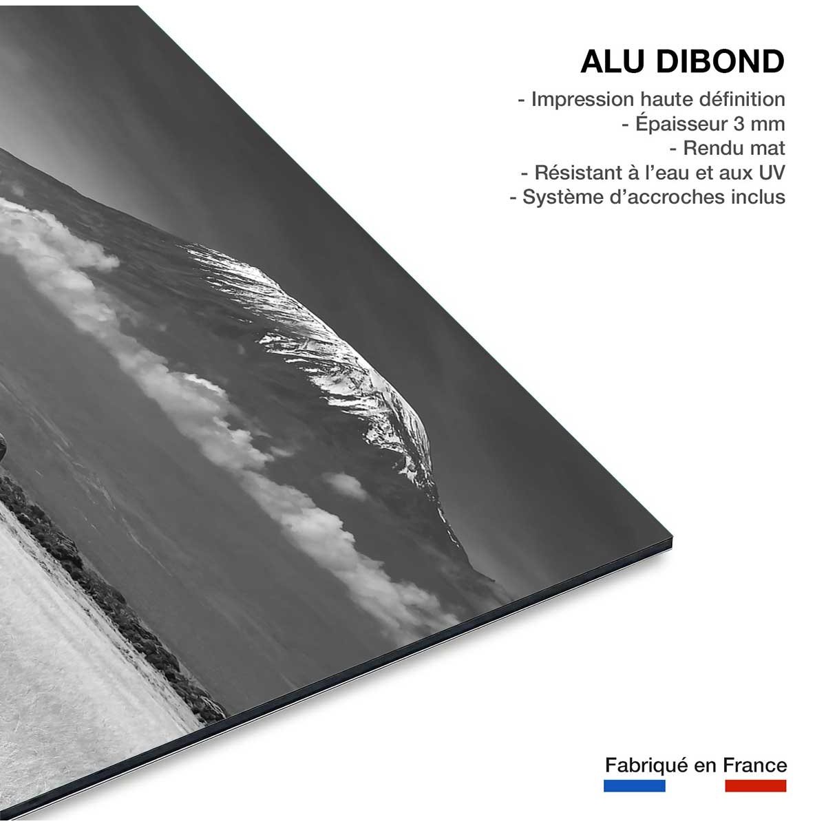 Tableau elephant et kilimanjaro tableau alu dibond, HEXOA