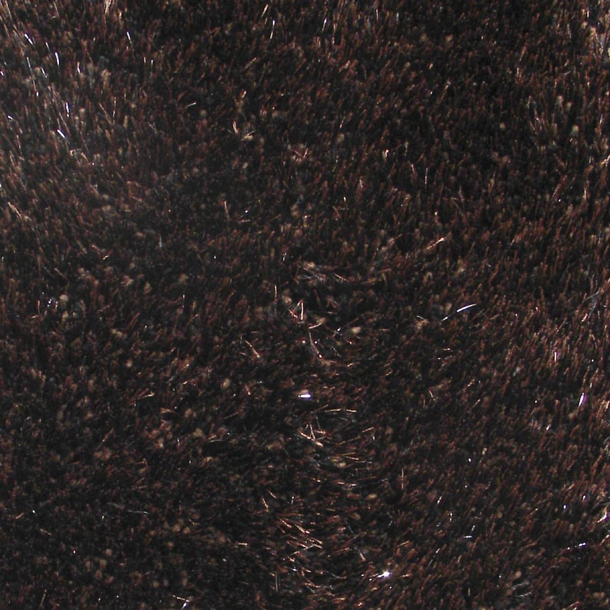 Tapis marron, DECORATION D’AUTREFOIS