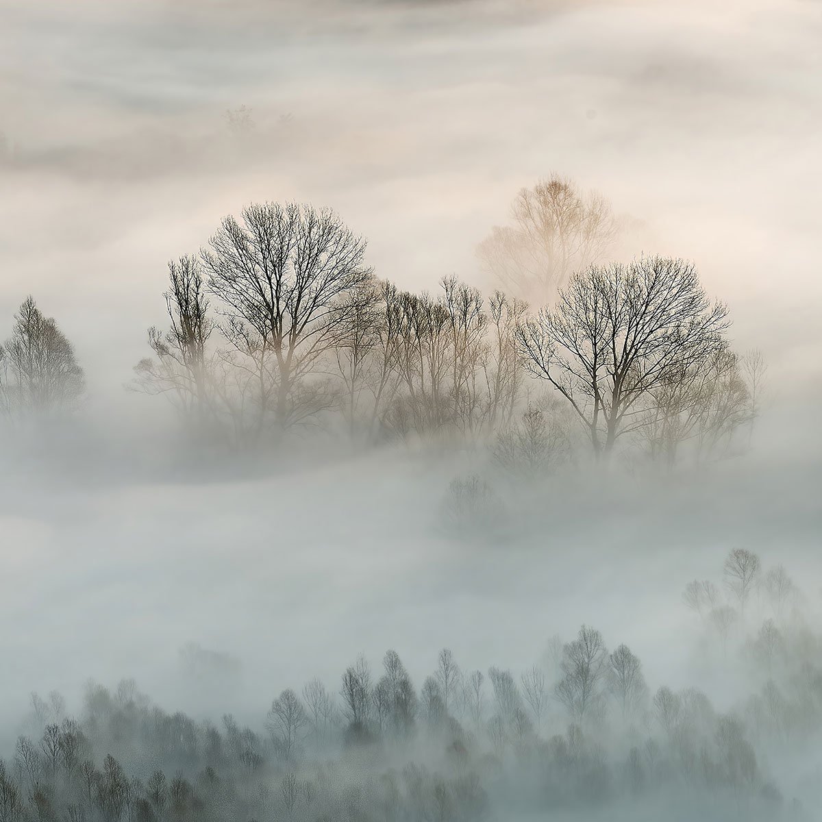Papier peint panoramique la toscane sous la brume intissé, HEXOA